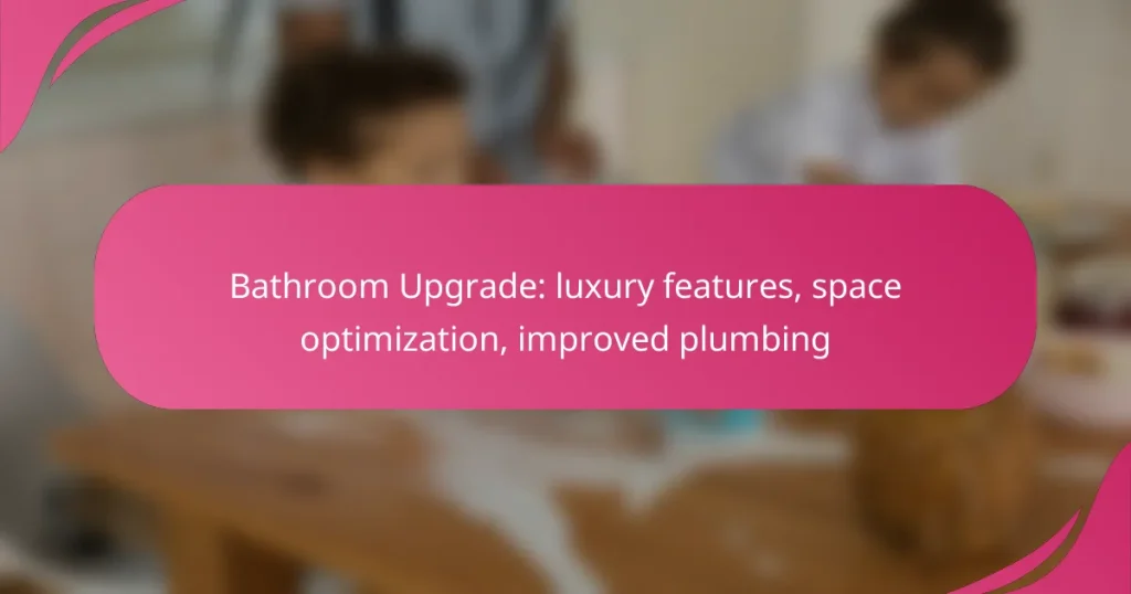 Bathroom Upgrade: luxury features, space optimization, improved plumbing
