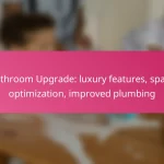 Bathroom Upgrade: luxury features, space optimization, improved plumbing